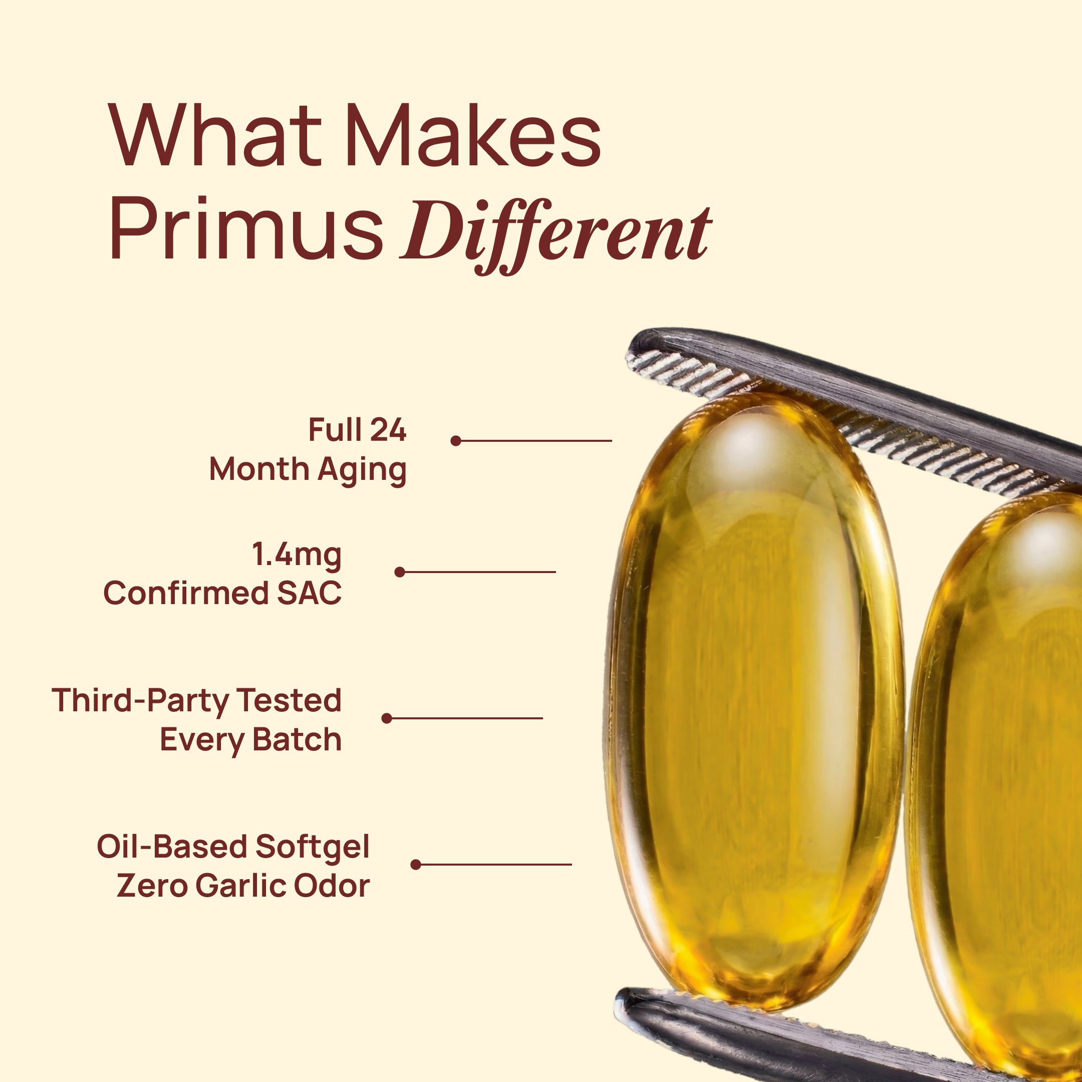 Primus Aged Garlic Extract