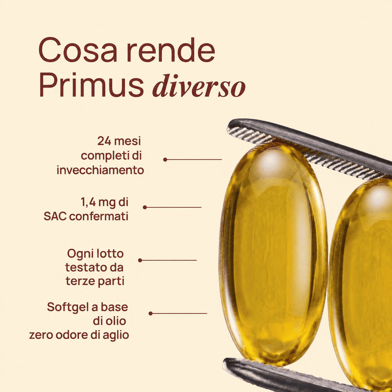 Primus Estratto di Aglio Invecchiato